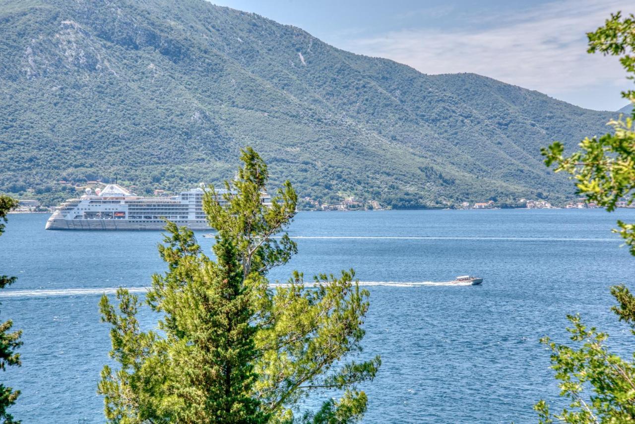 Apartment Elegant Kotor Ngoại thất bức ảnh